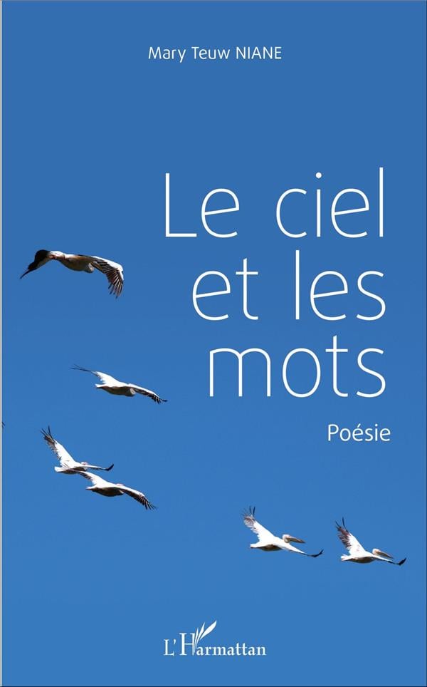 media/pim/TITELIVE/12_9782343109572_1_75.jpg