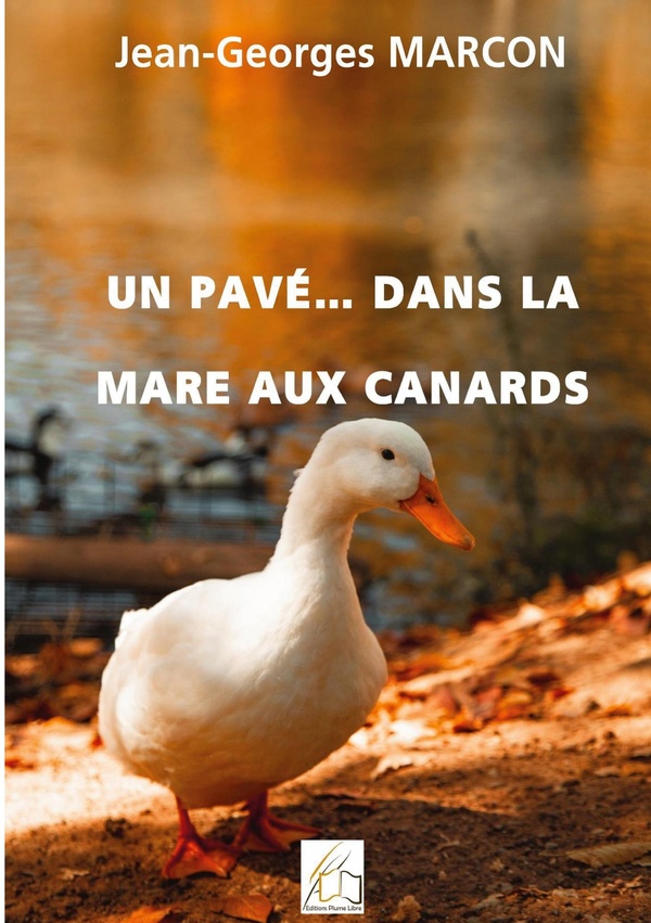 media/pim/TITELIVE/12_9782494934559_1_75.jpg