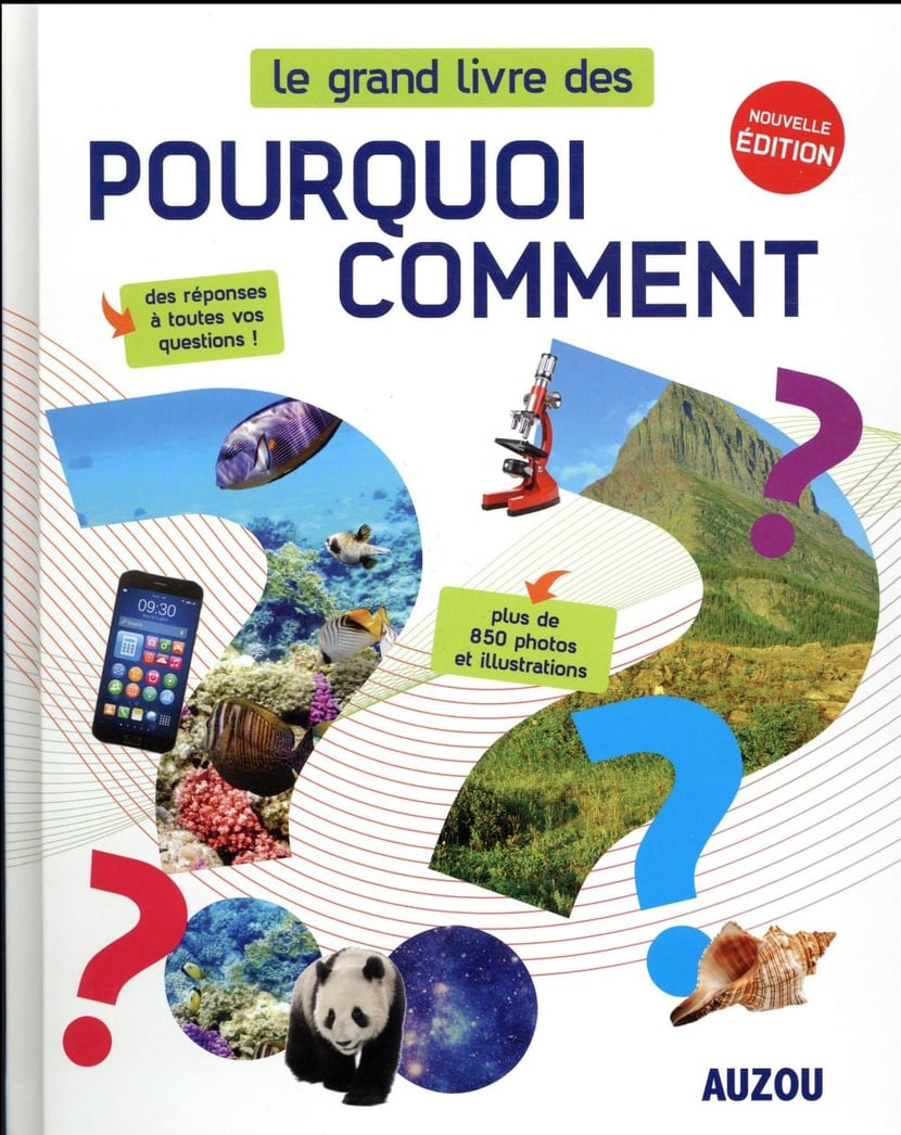 media/pim/TITELIVE/12_9782733849767_1_75.jpg