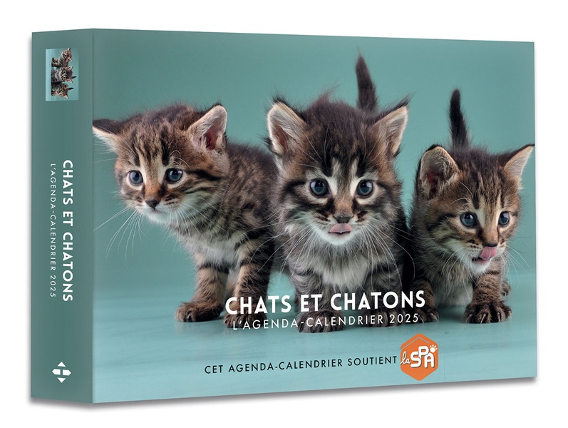 Le Calendrier 2025 Chatons : Un An de Tendresse Féline à Vos Côtés