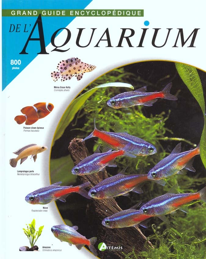 media/pim/TITELIVE/12_9782844160065_1_75.jpg