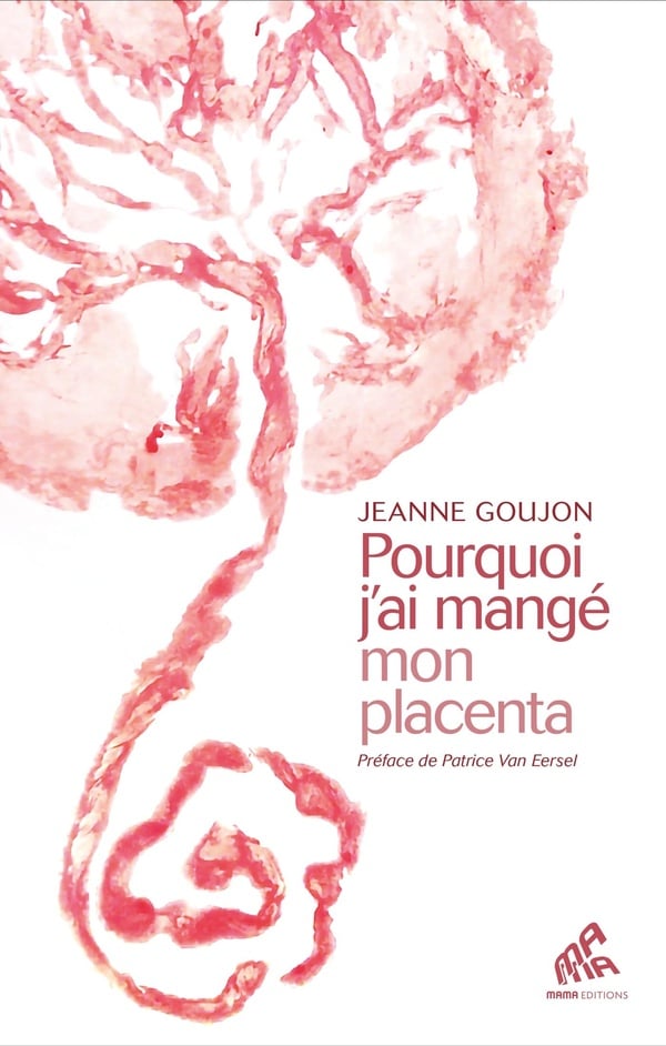 media/pim/TITELIVE/13_9782845943537_1_75.jpg
