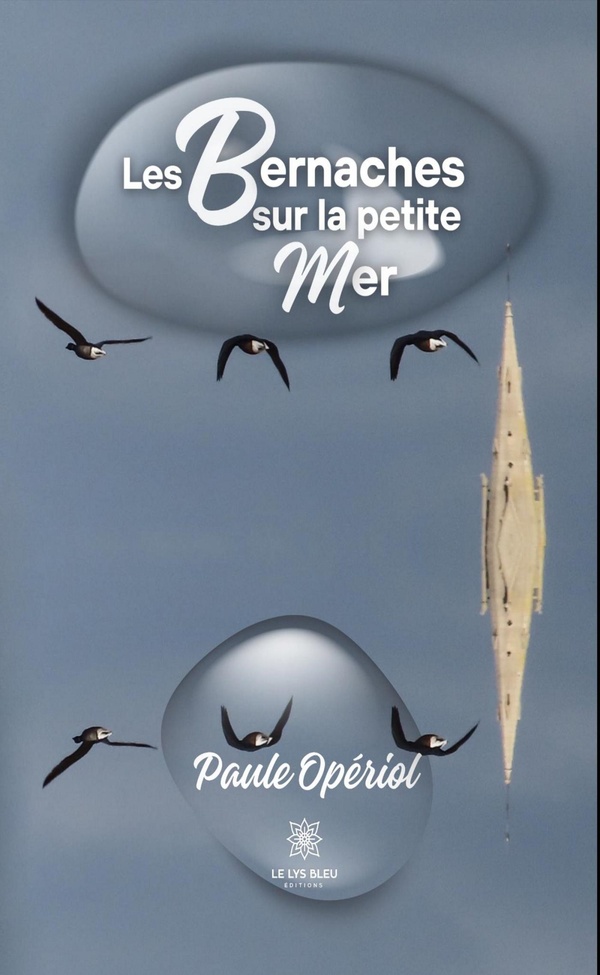 media/pim/TITELIVE/13_9791042233051_1_75.jpg