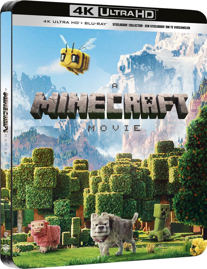 Minecraft, le film