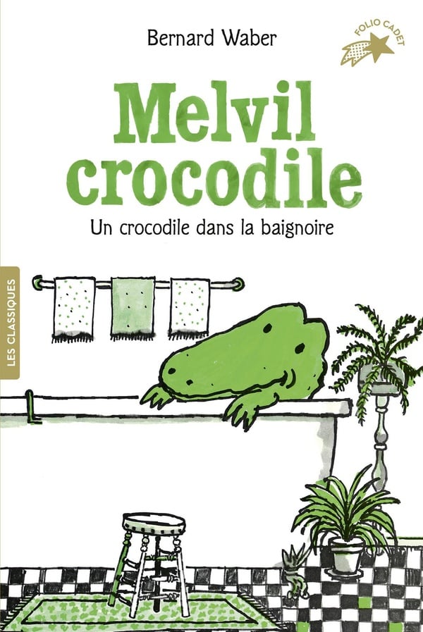 media/pim/TITELIVE/16_9782075190855_1_75.jpg