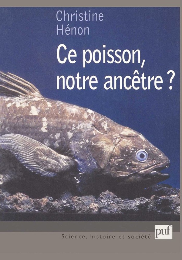 media/pim/TITELIVE/16_9782130516835_1_75.jpg
