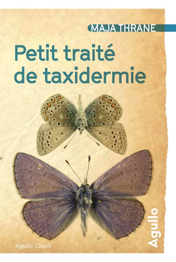 media/pim/TITELIVE/16_9782382460115_1_75.jpg