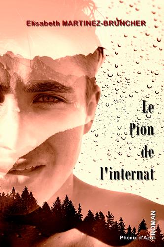 media/pim/TITELIVE/17_9782379880261_1_75.jpg