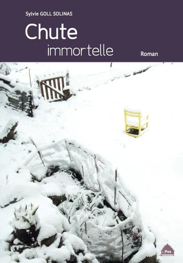 media/pim/TITELIVE/17_9782493504135_1_75.jpg