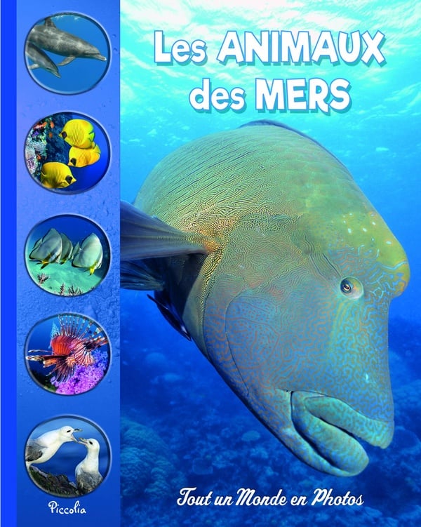media/pim/TITELIVE/17_9782753073074_1_75.jpg
