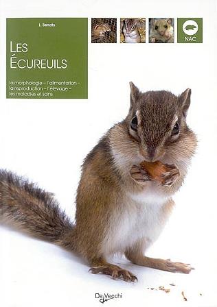 Ecureuil : reproduction, élevage des jeunes, une année remplie