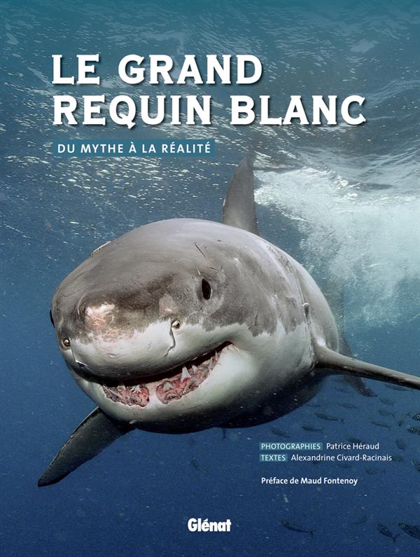 Mythes Et Légendes Activité (teacher Made