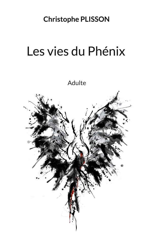 media/pim/TITELIVE/20_9782322539956_1_75.jpg