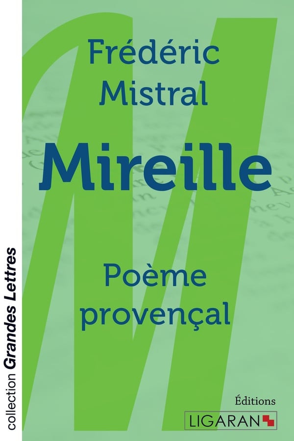 media/pim/TITELIVE/20_9782335022780_1_75.jpg