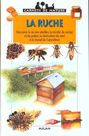 media/pim/TITELIVE/20_9782745900029_1_75.jpg