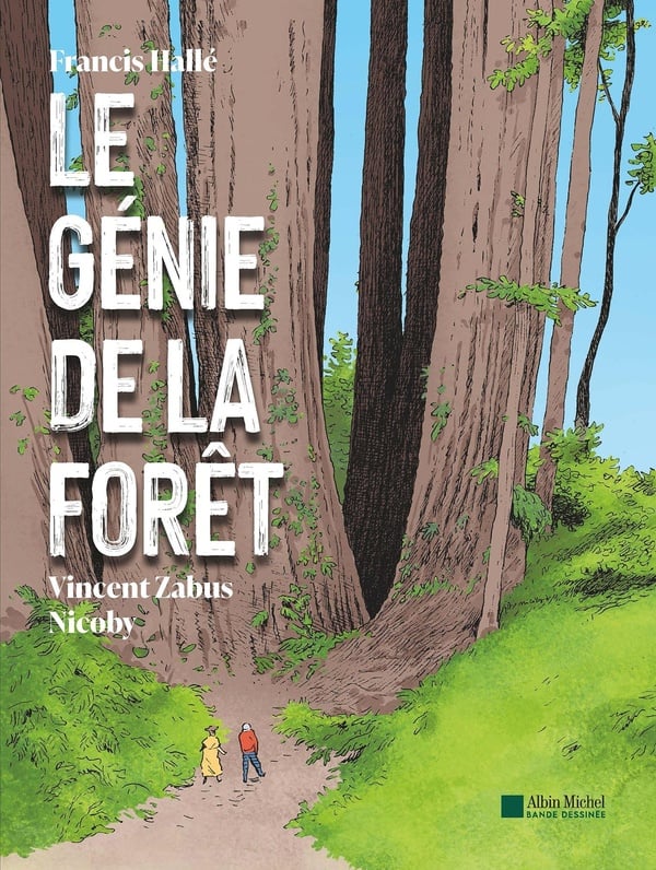 Playmobil 3933 – Le Génie De La Forêt (Thème Chevaliers) – Neuf