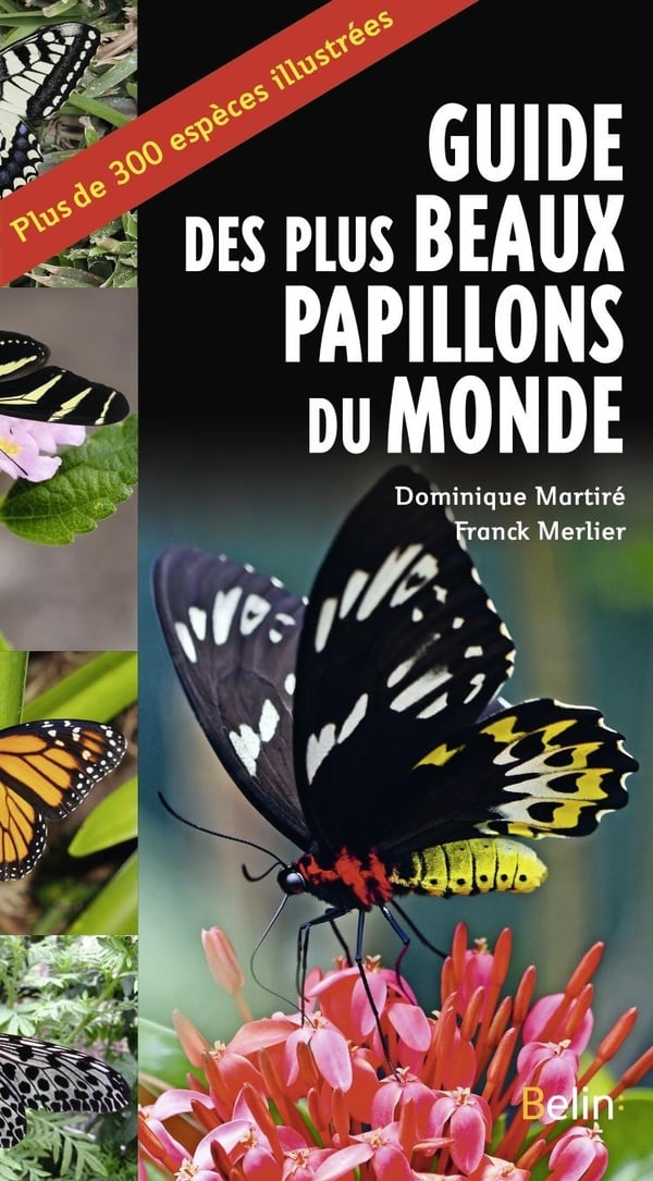 media/pim/TITELIVE/21_9782410026177_1_75.jpg