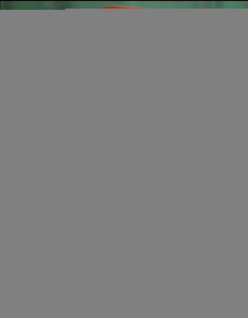 media/pim/TITELIVE/21_9782822901864_1_75.jpg