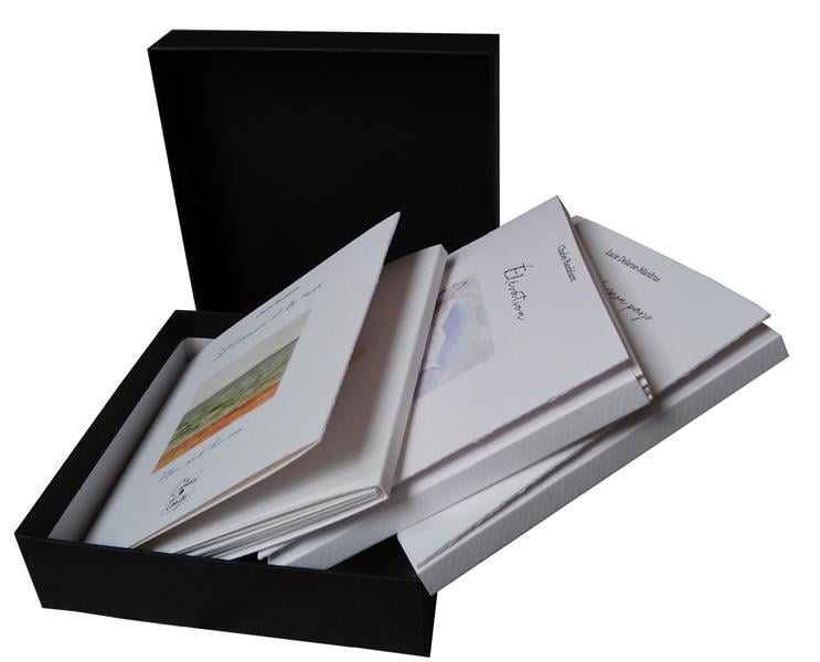 media/pim/TITELIVE/22_9782355071379_1_75.jpg