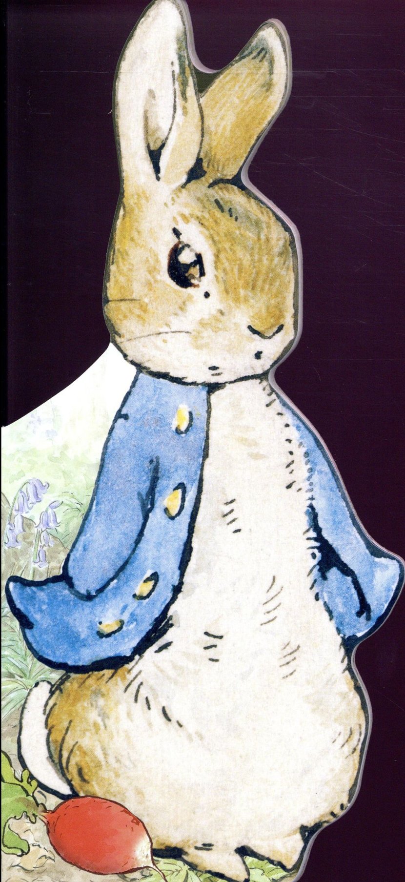 Pierre Lapin Beatrix Potter Dessin Bonjour, pierre lapin ! : Beatrix Potter - 2075082103 - Livres pour enfants dès 3 ans | Cultura