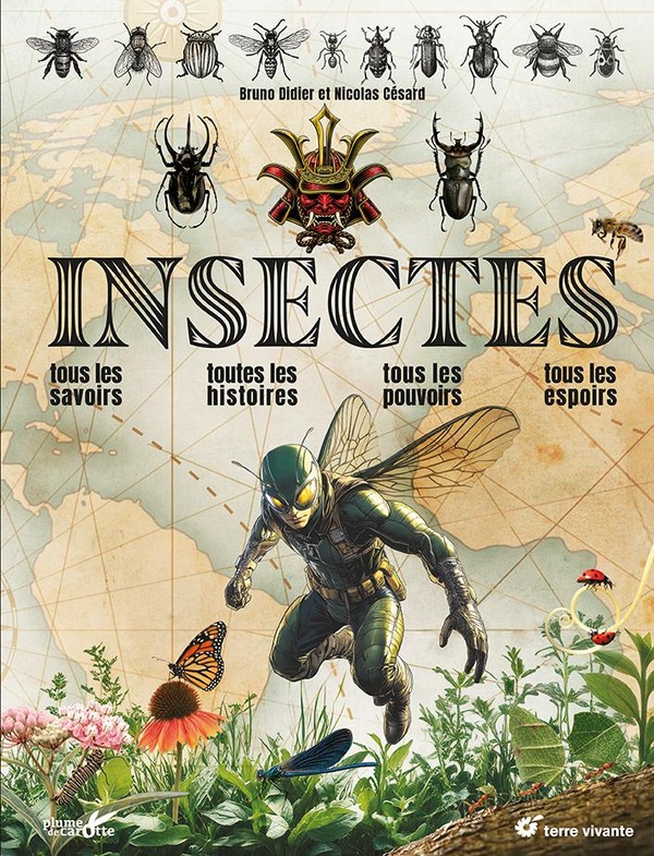 Insectes : Tous les savoirs, toutes les histoires, tous les pouvoirs, tous les espoirs...