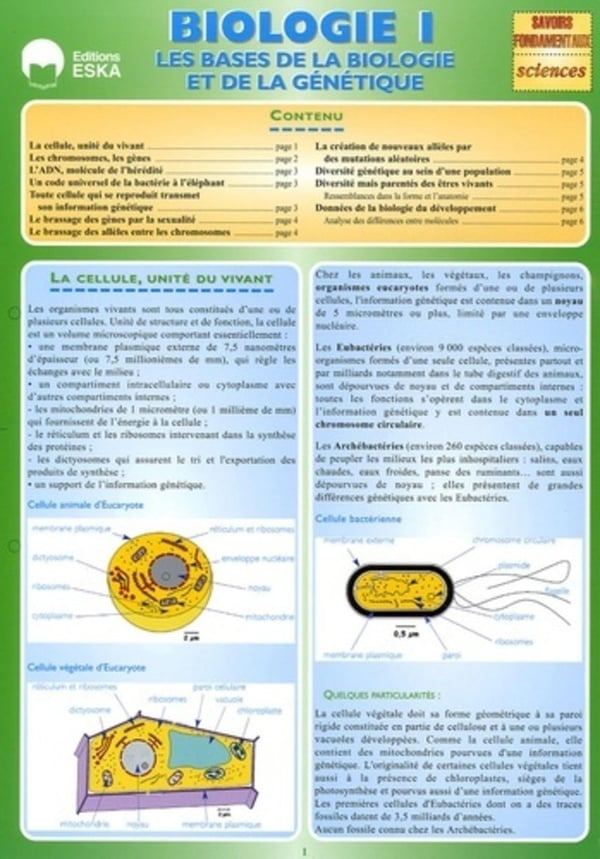 media/pim/TITELIVE/23_9782747208338_1_75.jpg