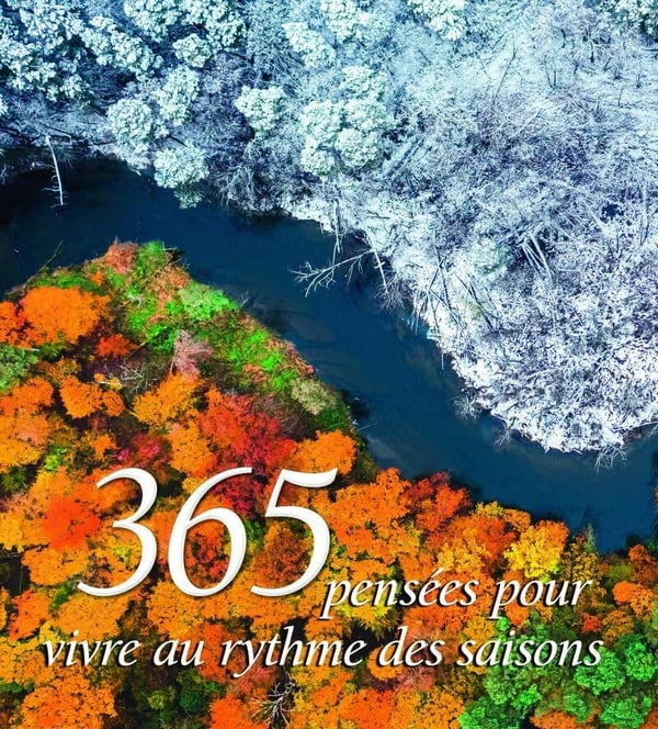 media/pim/TITELIVE/23_9788832915648_1_75.jpg