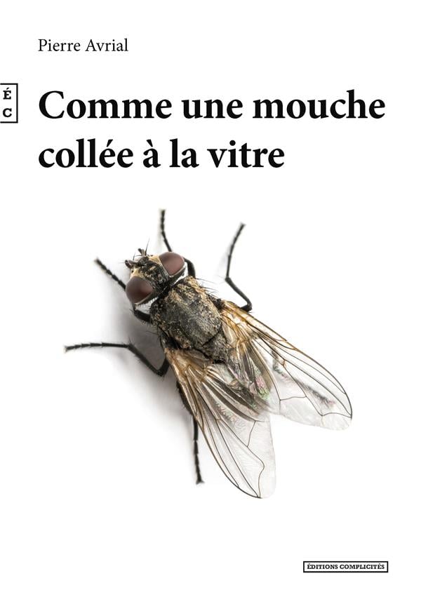 media/pim/TITELIVE/24_9782351203446_1_75.jpg