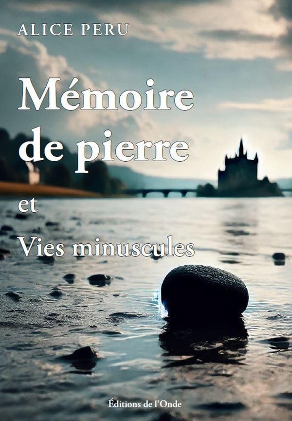 media/pim/TITELIVE/25_9782371585331_1_75.jpg
