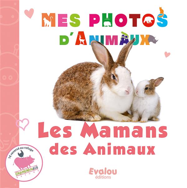 media/pim/TITELIVE/25_9782490074723_1_75.jpg