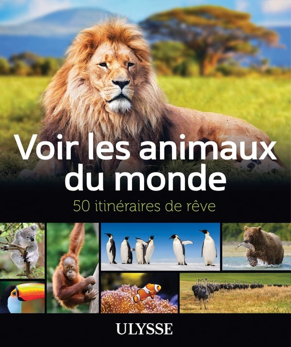 media/pim/TITELIVE/25_9782894648315_1_75.jpg