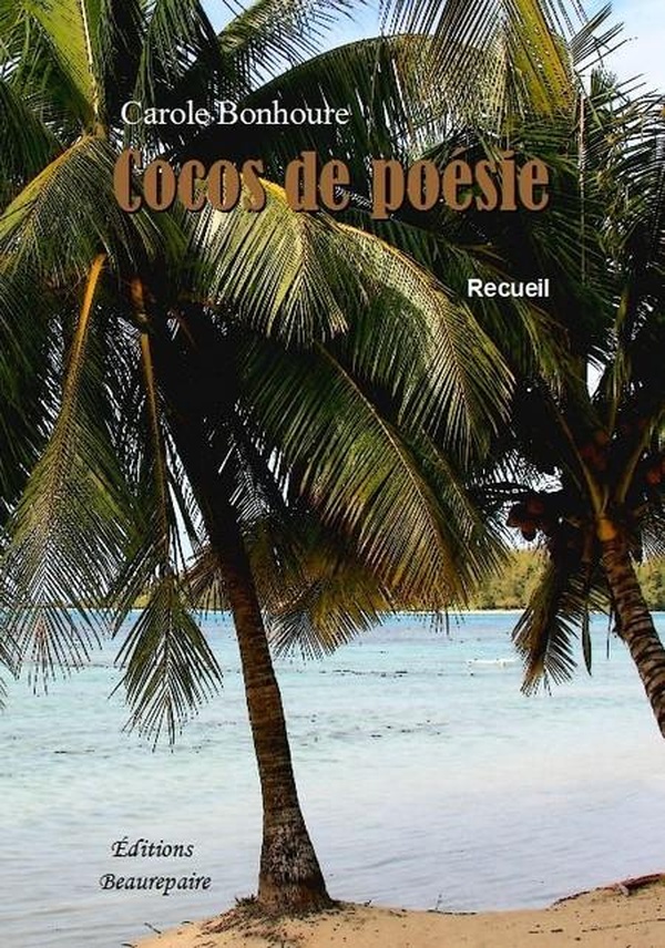 media/pim/TITELIVE/26_9782357671119_1_75.jpg
