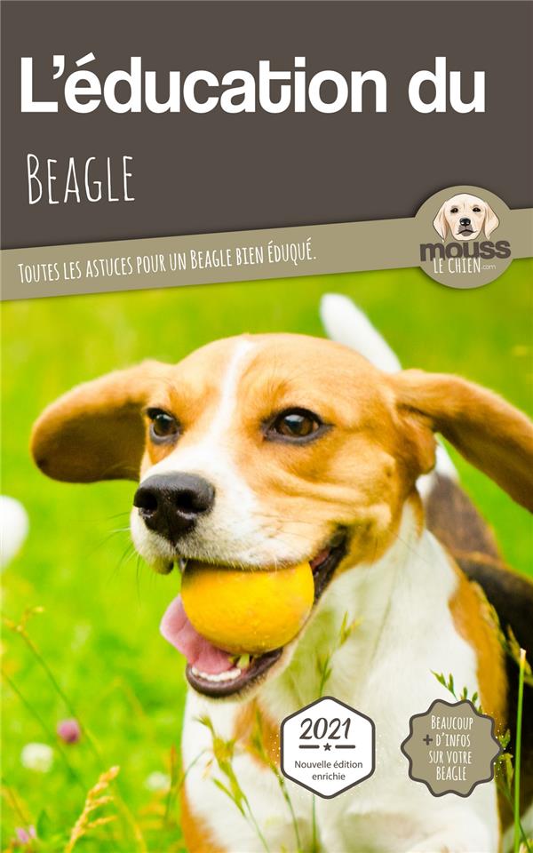 L ducation du Beagle toutes les astuces pour un Beagle bien duqu