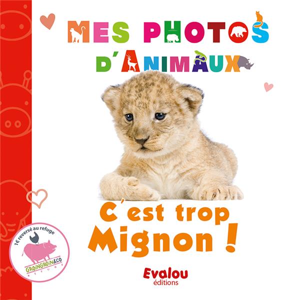 media/pim/TITELIVE/29_9782490074747_1_75.jpg