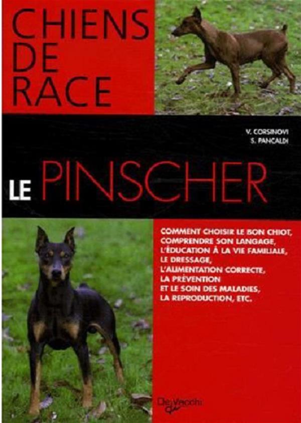 media/pim/TITELIVE/29_9782732884349_1_75.jpg
