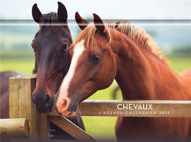 L'agenda-calendrier chevaux 2017 : Collectif - 2755624310 - Livres sur les  Animaux