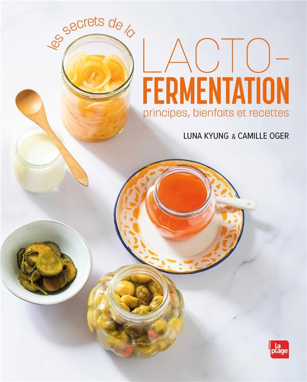 Choisir son matériel à lacto-fermentation