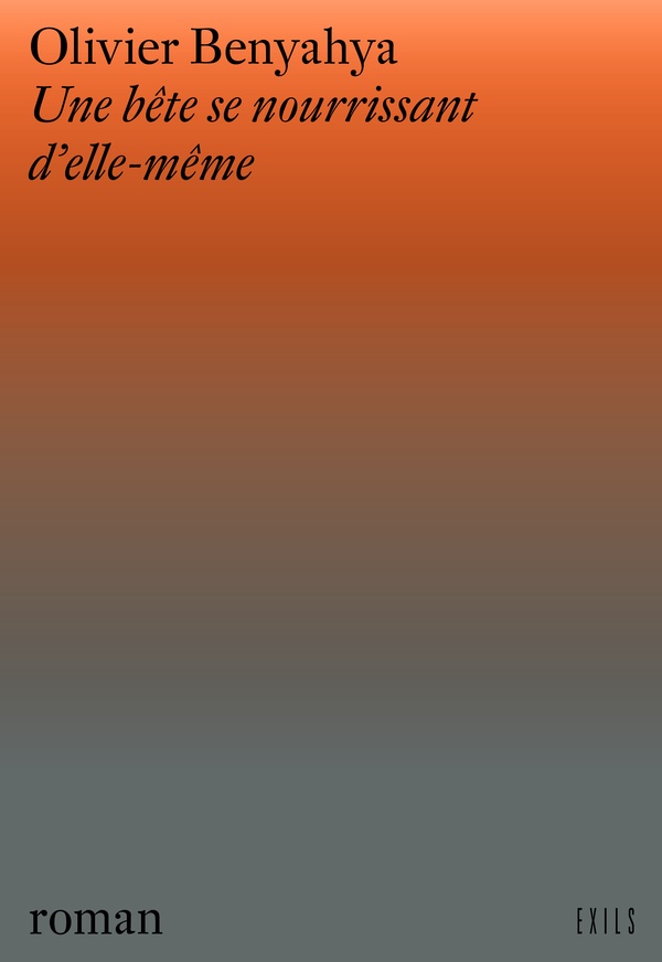 media/pim/TITELIVE/2_9782914823296_1_75.jpg