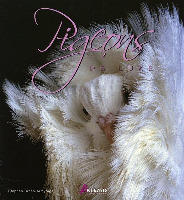 media/pim/TITELIVE/30_9782844165855_1_75.jpg