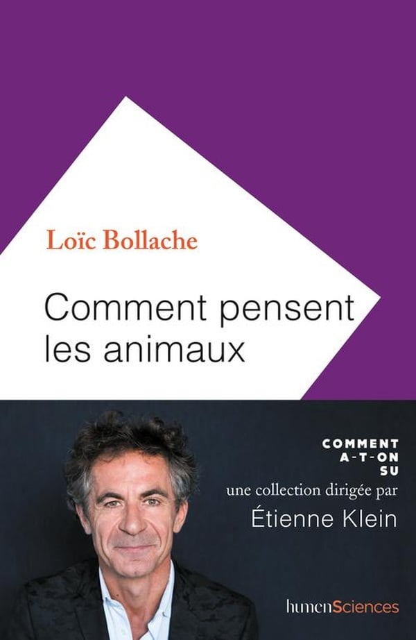media/pim/TITELIVE/31_9782379310751_1_75.jpg