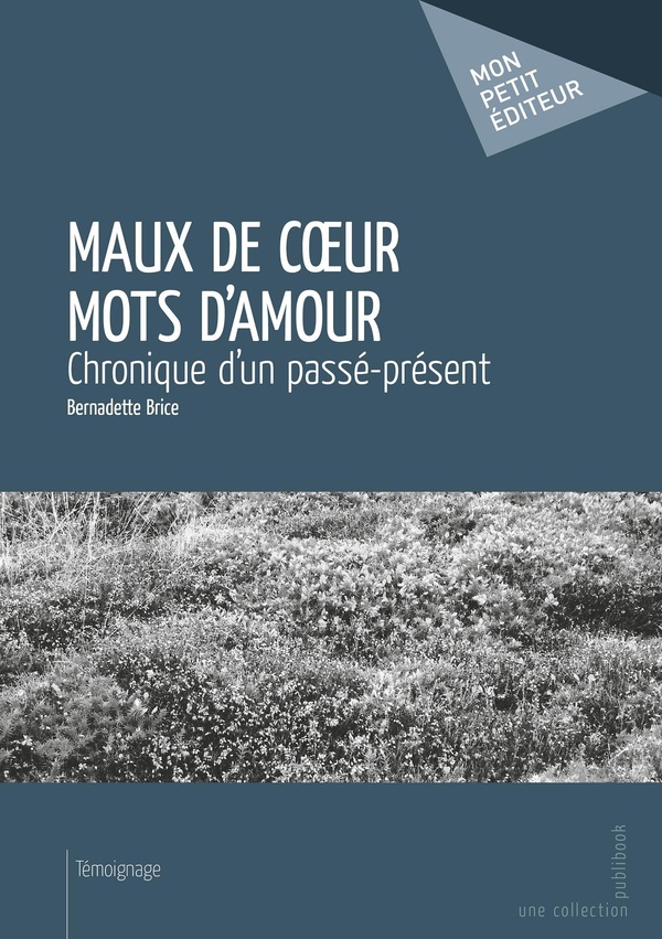 media/pim/TITELIVE/31_9782748365795_1_75.jpg