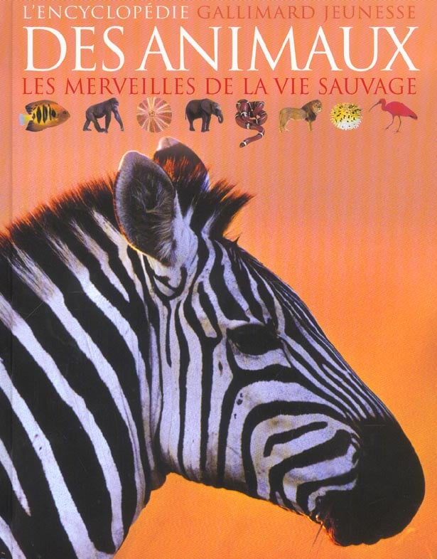 media/pim/TITELIVE/32_9782070552313_1_75.jpg