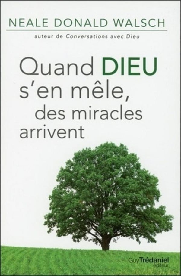 media/pim/TITELIVE/33_9782813203915_1_75.jpg