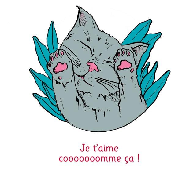 media/pim/TITELIVE/35_9782322252442_1_75.jpg