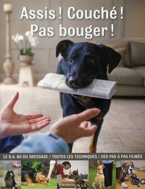 media/pim/TITELIVE/36_9782035838865_1_75.jpg