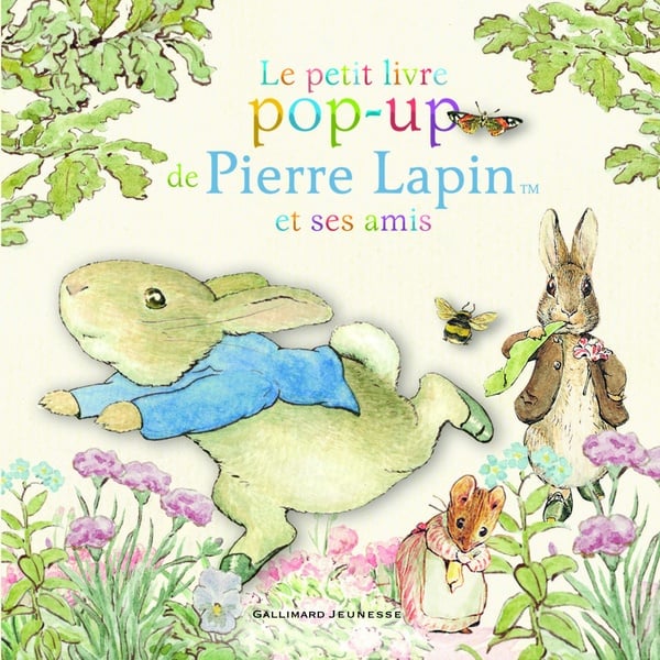 media/pim/TITELIVE/36_9782075098793_1_75.jpg