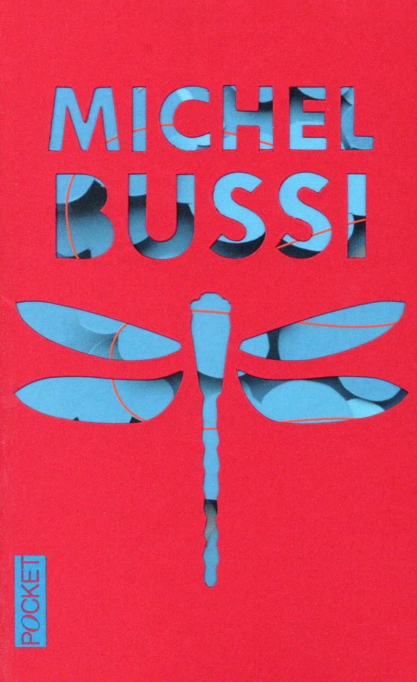 Un avion sans elle - édition collector : Michel Bussi - 2266252712 -  Thrillers