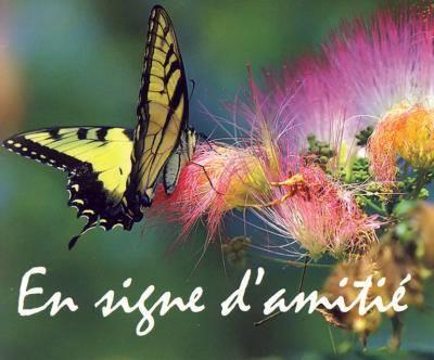 media/pim/TITELIVE/36_9782712212674_1_75.jpg