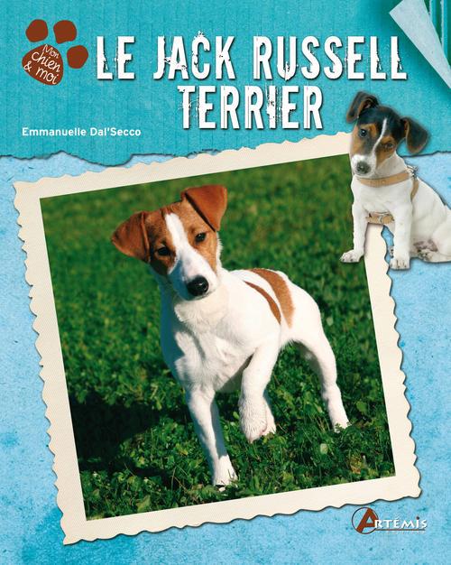 Le jack russell terrier