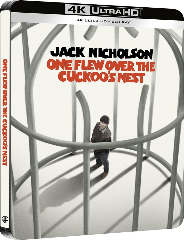 Vol au-dessus d'un nid de coucou